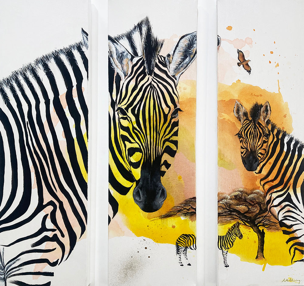'Dazzle'
