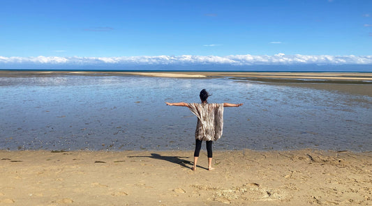 Nature’s Reset: Rewilding in Abel Tasman