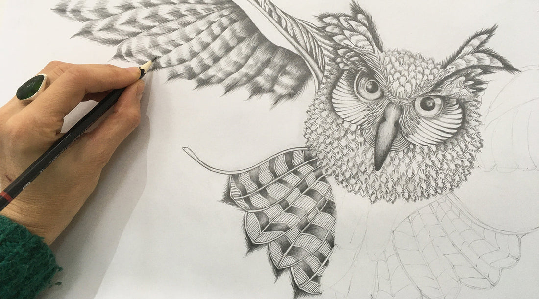 Birds: A New Zealand Obsession