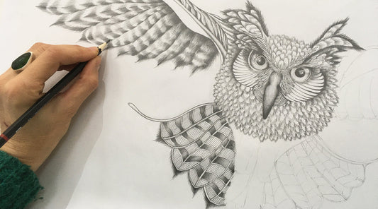 Birds: A New Zealand Obsession