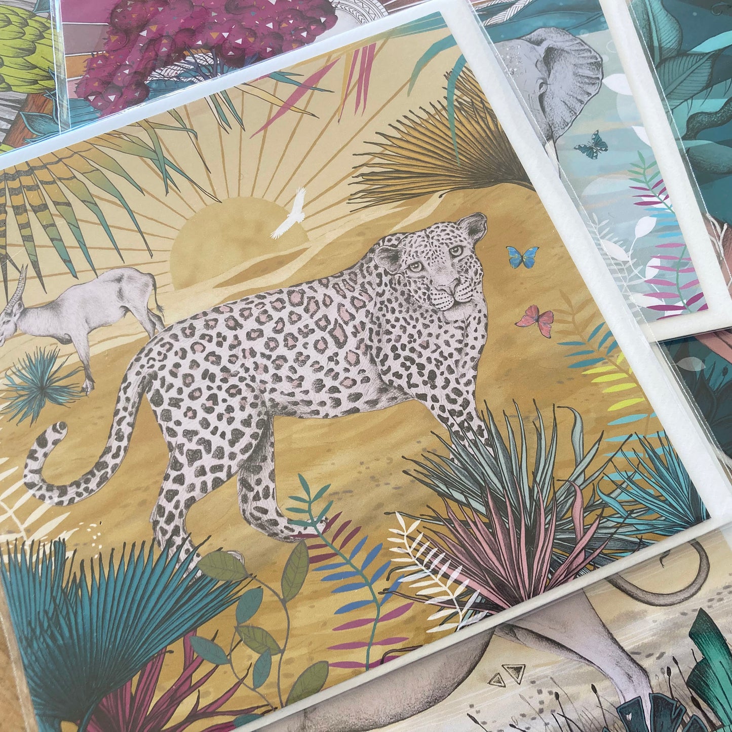 Savannah greeting card bundles